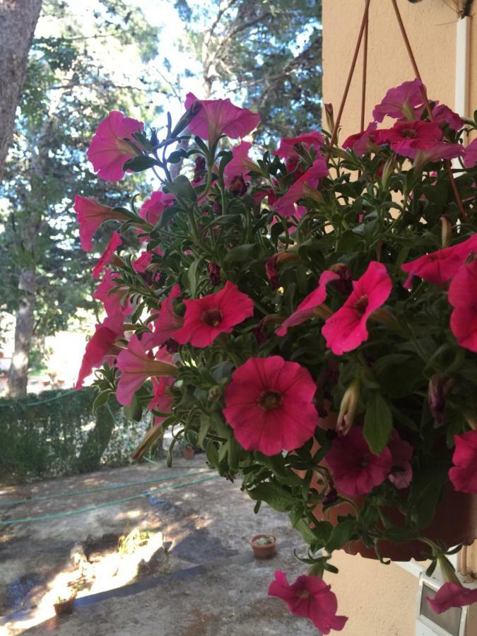 Bed & Breakfast Il Carrubo San Vito Lo Capo