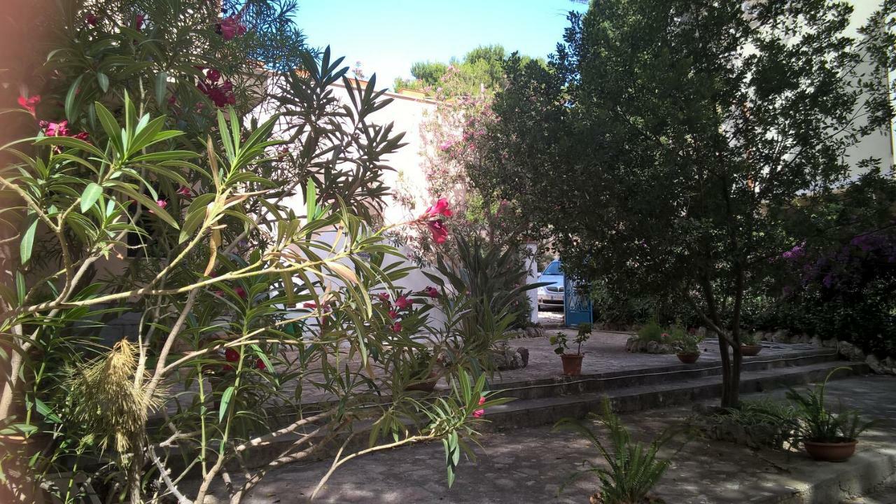 Couette-café Il Carrubo San Vito Lo Capo